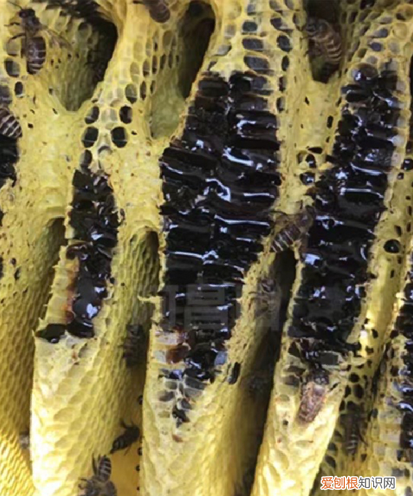 放了七八年的蜂蜜了还可以吃吗