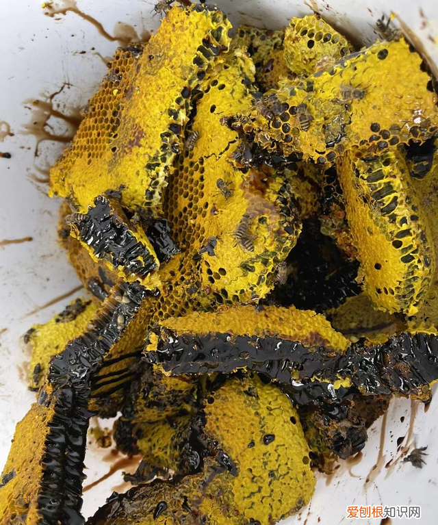 放了七八年的蜂蜜了还可以吃吗