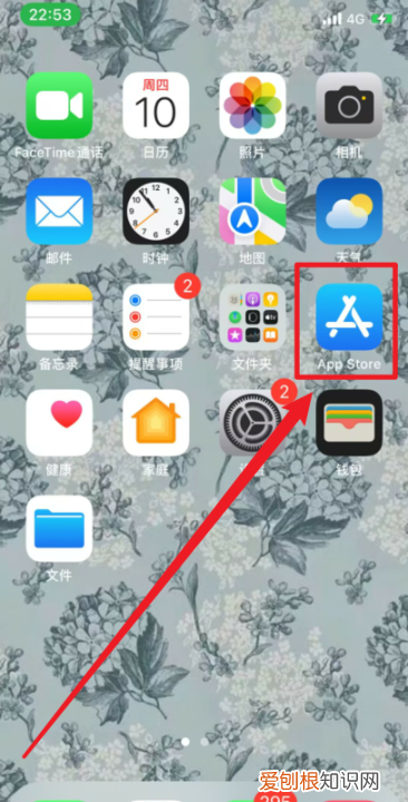 苹果手机怎样安装抖音APP，苹果手机怎么下抖音国际版