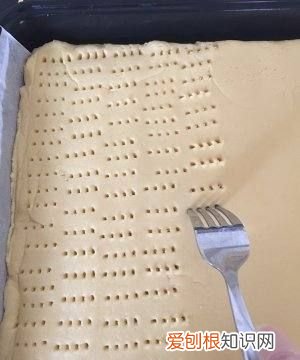 奶酪可以做饼干吗，大孔奶酪饼干怎么做