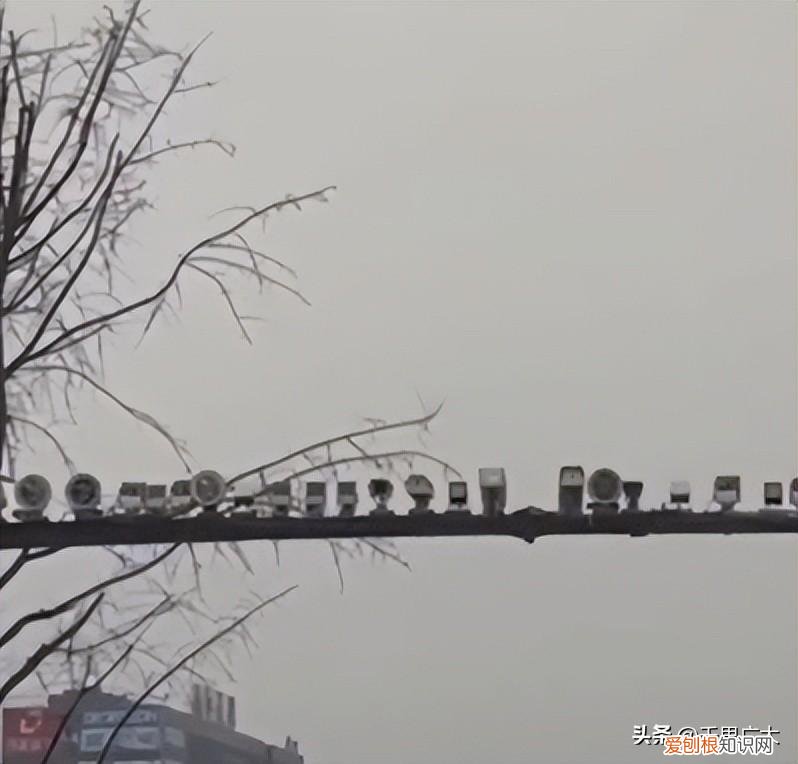 震惊!重庆一路口78个监控头