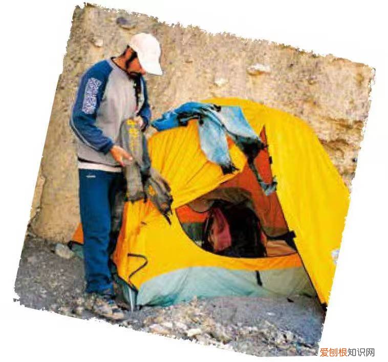 男子青海自驾偶遇两头狼,前车误认是狗下车查看