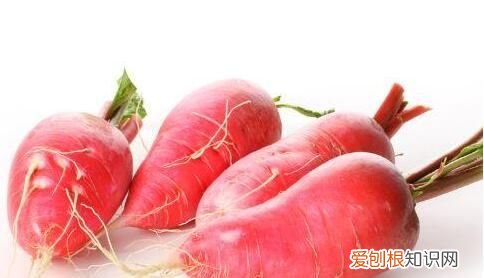 吃萝卜有什么好处吗,猫吃萝卜的好处和坏处