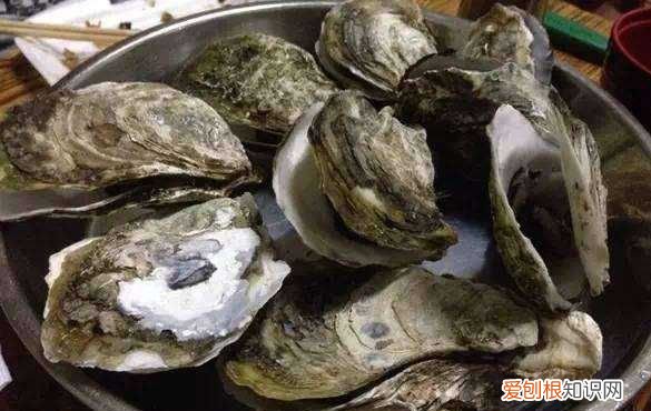 牡蛎蒸多久能熟,蒸牡蛎要多长时间熟