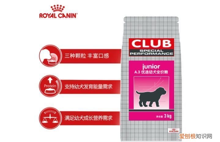 爱犬是家人,选好狗粮很重要