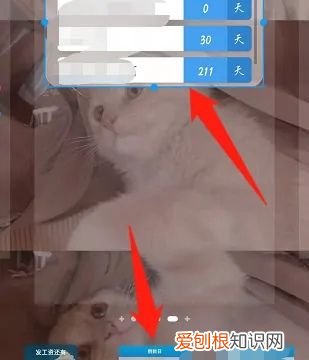 倒数日怎样才可以在桌面上显示，苹果倒数日怎么显示在桌面全屏