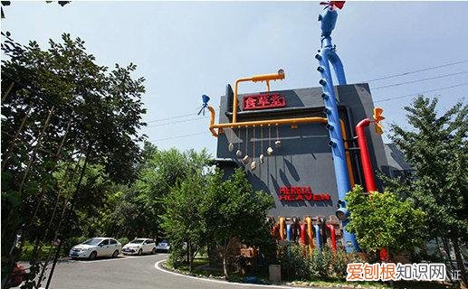 食草堂:一个坚持独立思考的品牌