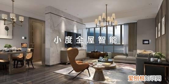 小度推出 4 款新品