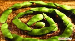 毛豆属于高脂肪食物吗