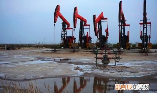 东营初九家是干什么的，东营富柏集团是做什么的