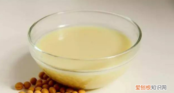 打豆浆的豆子要泡多久,做豆浆的豆子要泡多久?