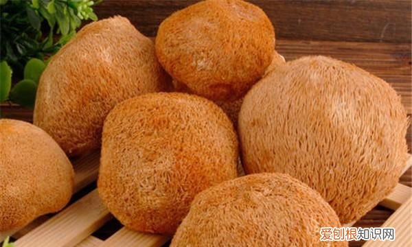 猴头菇变色了还能吃吗