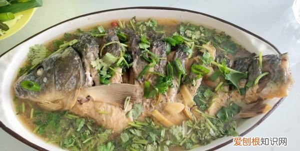 清炖鱼的做法,清炖鱼汤最简单做法窍门