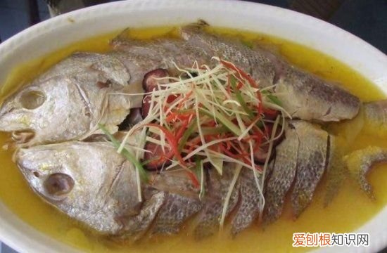 清炖鱼的做法，清炖鱼汤最简单做法窍门
