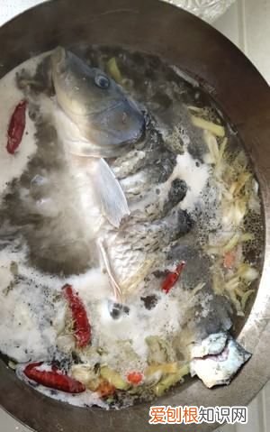 清炖鱼的做法,清炖鱼汤最简单做法窍门