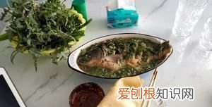 清炖鱼的做法,清炖鱼汤最简单做法窍门