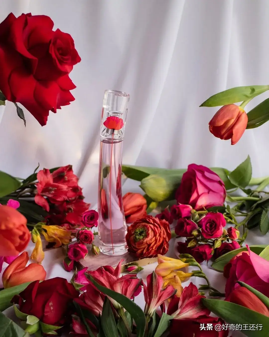 高田贤三一枝花|