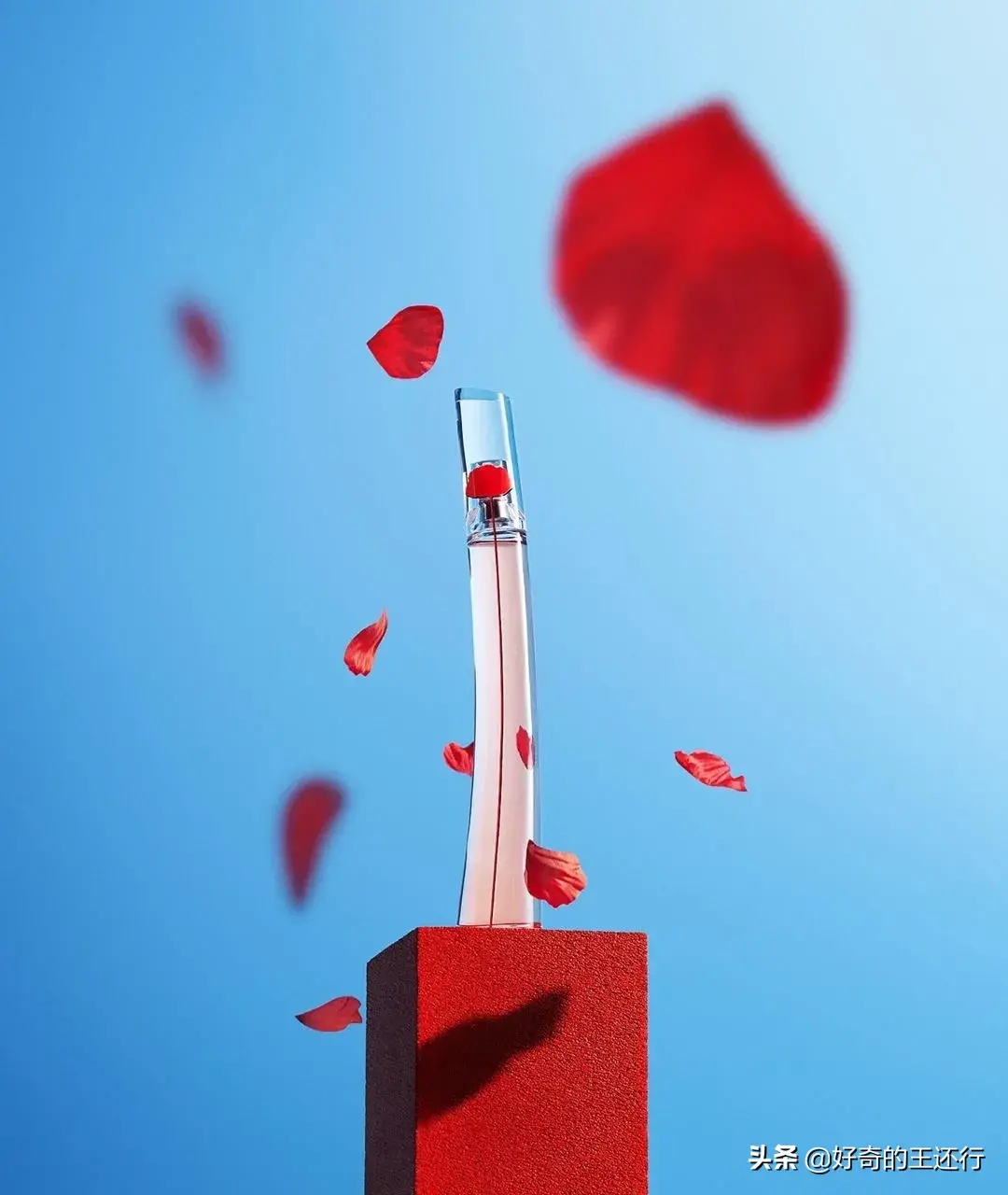 高田贤三一枝花|