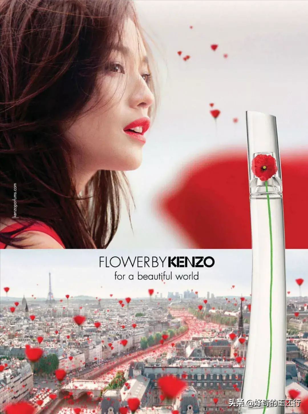 高田贤三一枝花|