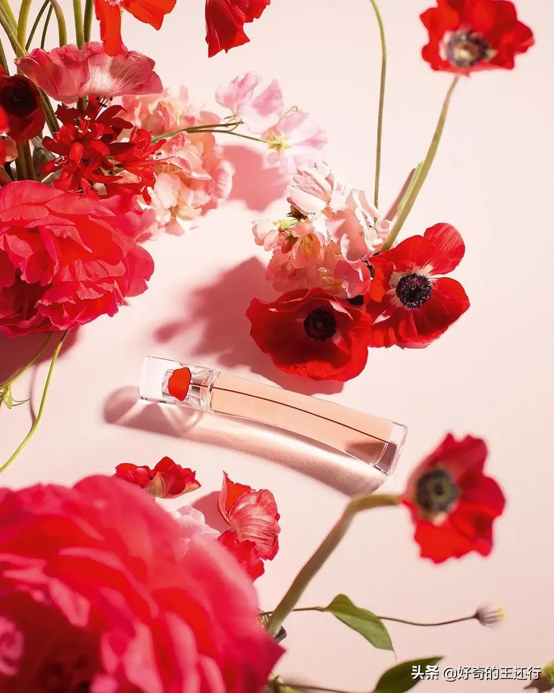 高田贤三一枝花|