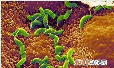 胃萎缩是什么原因引起的,萎缩性胃炎的原因是什么