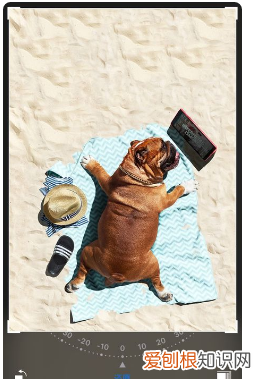 苹果手机裁剪图片指定尺寸,苹果手机要怎么进行裁剪照片