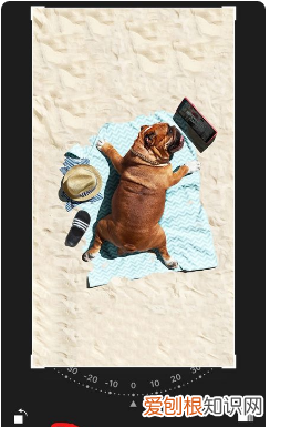 苹果手机裁剪图片指定尺寸,苹果手机要怎么进行裁剪照片