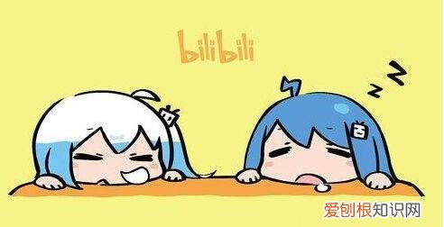 哔哩哔哩怎么佩戴粉丝勋章