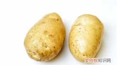 吃马铃薯的好处有哪些