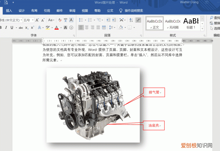 word如何制作图片不同形状排版
