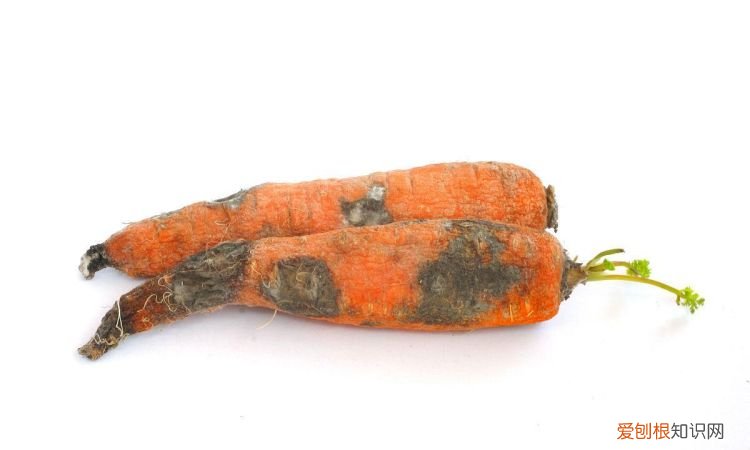 胡萝卜发霉切掉能吃吗，萝卜干发出酒味还能吃