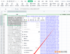 如何设置表格锁定，wps表格怎么设置锁定不允许修改