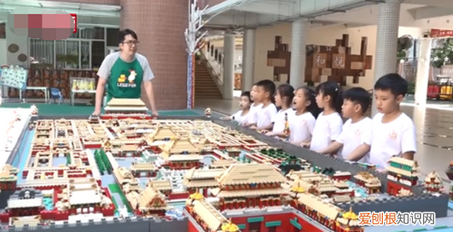 海豹有鼻子为什么不会呛水,海豹为什么在寒冷的水中不会怕冷