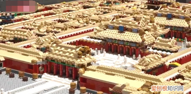 海豹有鼻子为什么不会呛水,海豹为什么在寒冷的水中不会怕冷