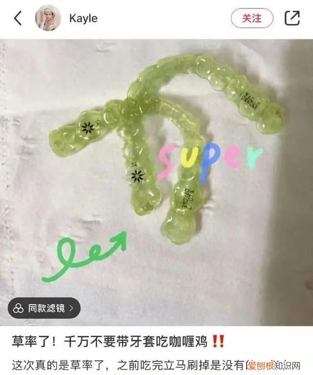 海豹有鼻子为什么不会呛水,海豹为什么在寒冷的水中不会怕冷