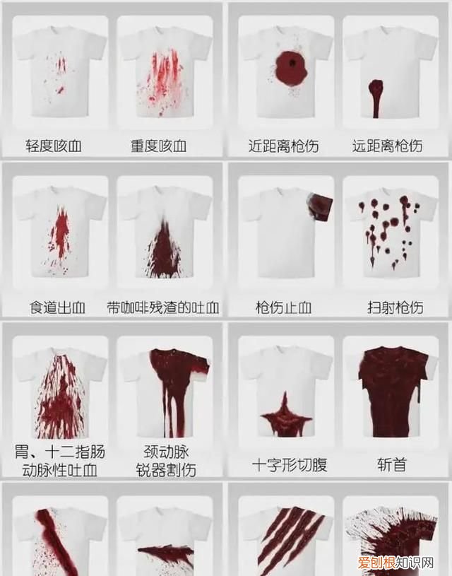 海豹有鼻子为什么不会呛水,海豹为什么在寒冷的水中不会怕冷