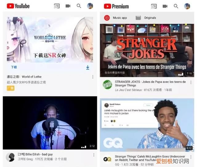 关于OGV的购买手册,抖快B该再读一遍了