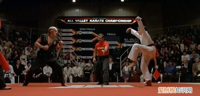 关于OGV的购买手册,抖快B该再读一遍了