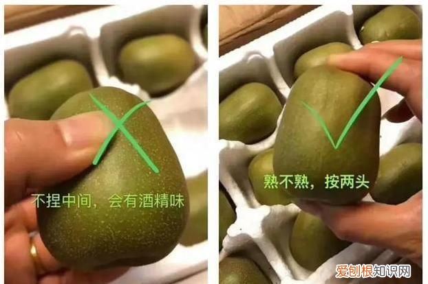 猕猴桃怎么判断熟,猕猴桃怎么看熟了没有