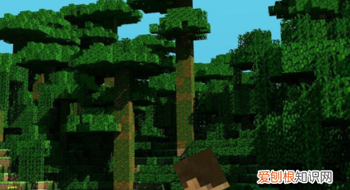 我的世界里怎么让植物快速生长