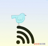 别人的网加密了怎么连，wifi没有扫描怎么查密码