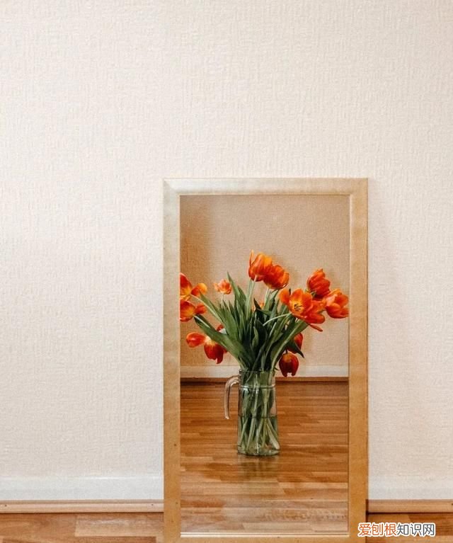 感恩岁月感谢美好相遇