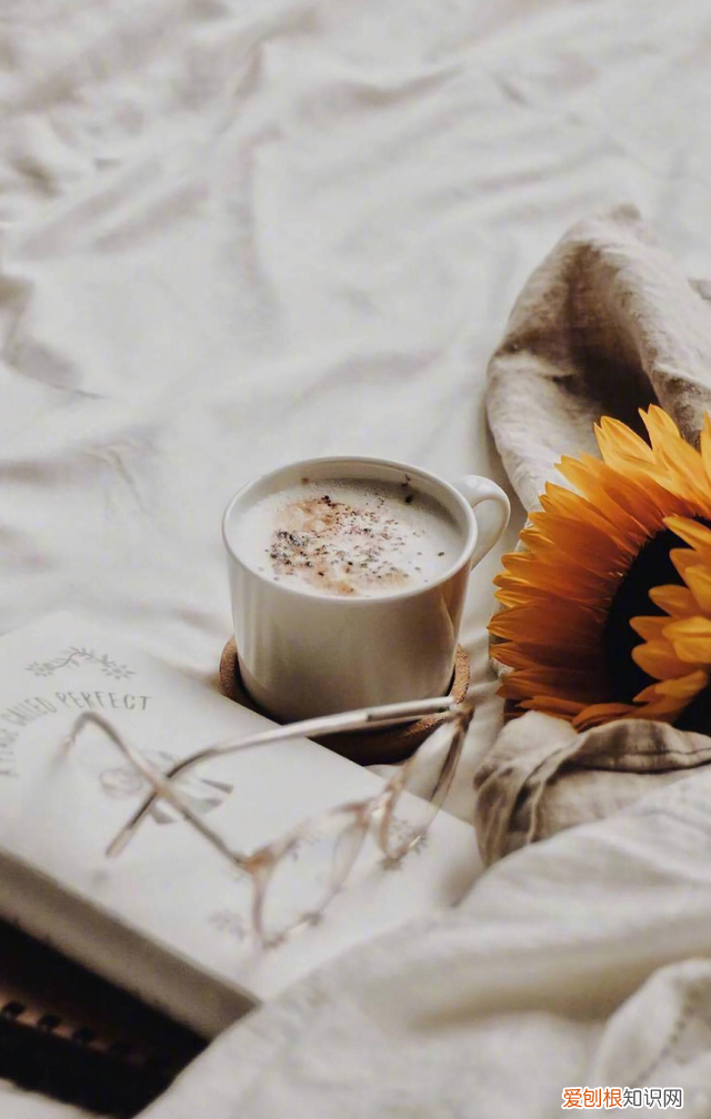 感恩岁月感谢美好相遇