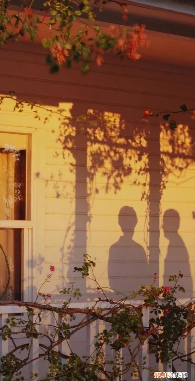 感恩岁月感谢美好相遇