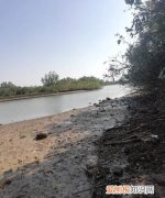 天然水最大的污染源是什么，天然水体最大的污染源是什么