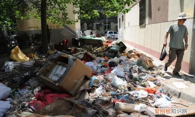 昆明要不要有蟑螂 昆明除蟑螂公司一次多少钱