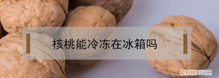 核桃放冰箱冷藏还是冷冻,芝麻核桃粉放冰箱冷藏还是冷冻保存
