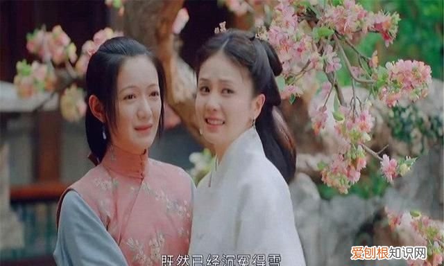 玉楼春小野是野狼吗，玉楼春里喜欢姚滴珠的小野是谁