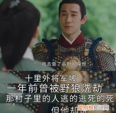 玉楼春小野是野狼吗，玉楼春里喜欢姚滴珠的小野是谁