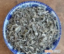 霉茶叶有什么用途，发霉了的茶叶有什么用